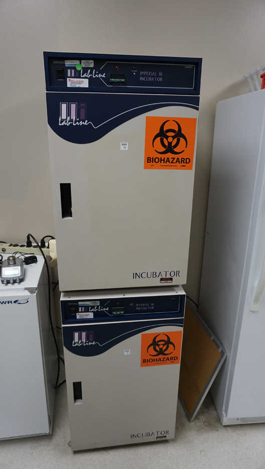 240_44_1558116983..jpg