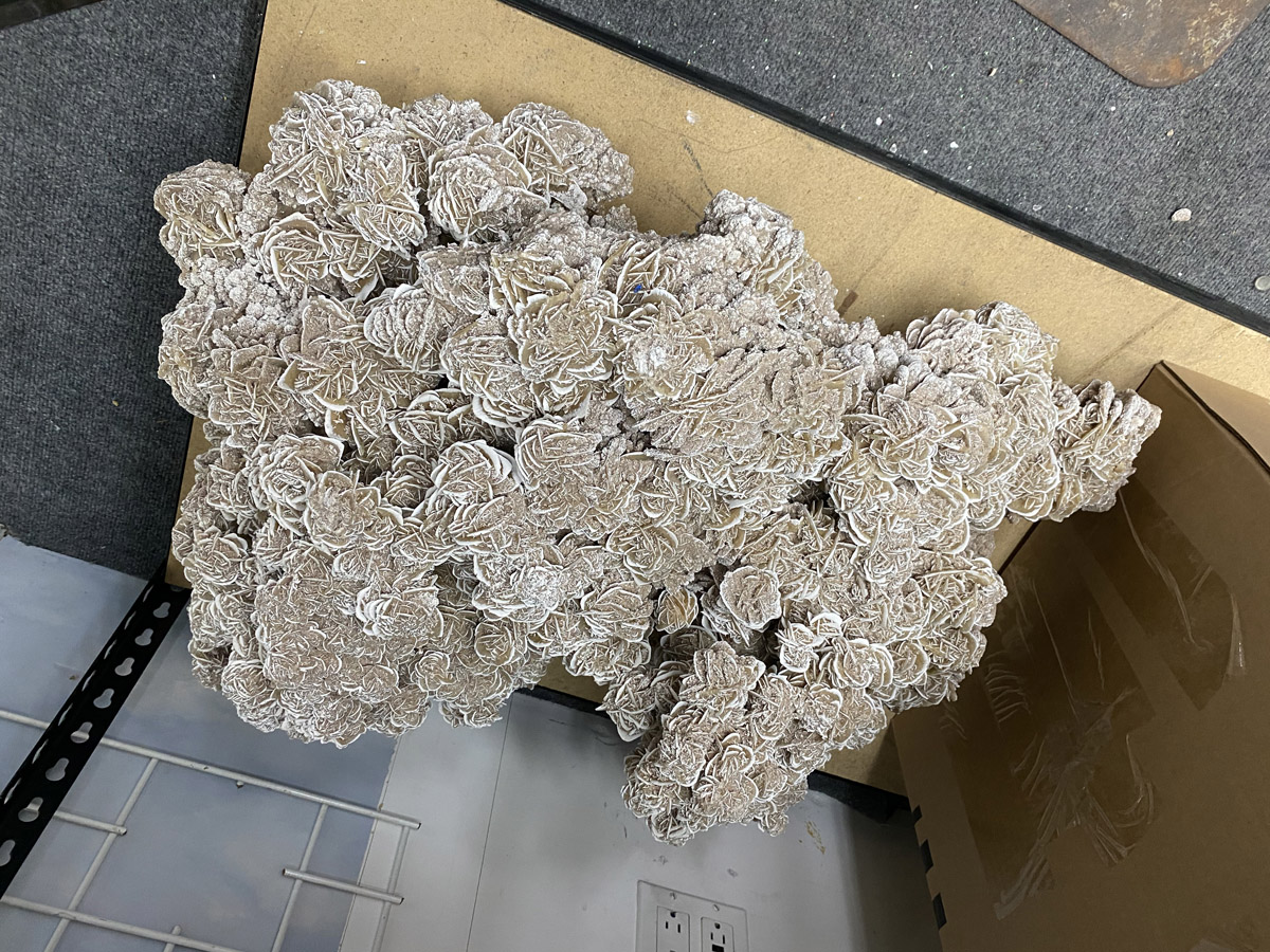 324_12_1608226422..jpg