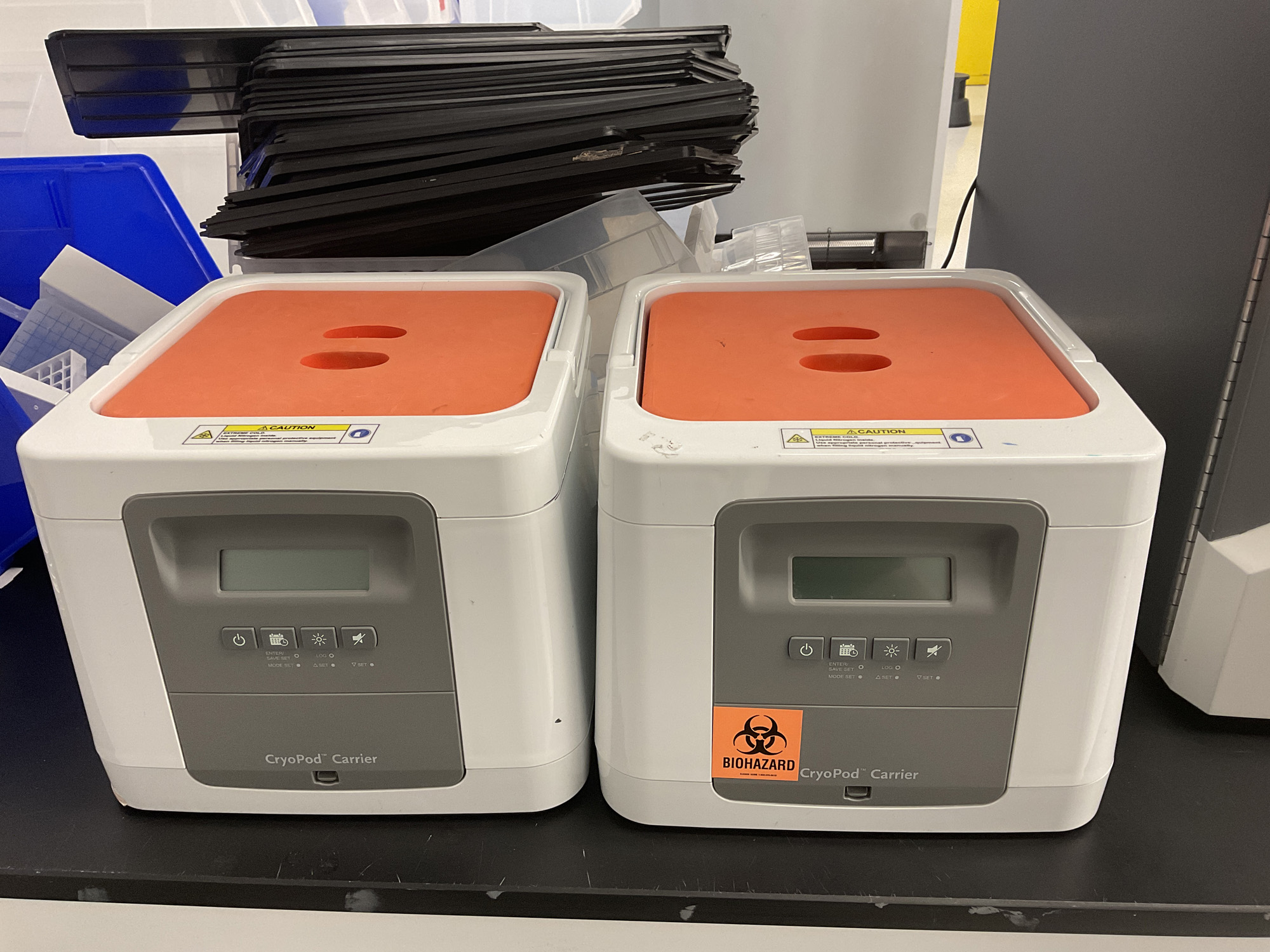 auction-images-img-9228-1784065451920.jpg