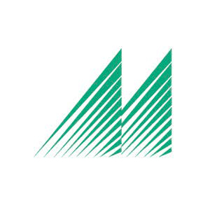 Macrotron Systems