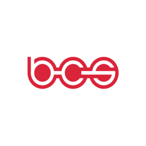 BCS Automotive Interface Solutions