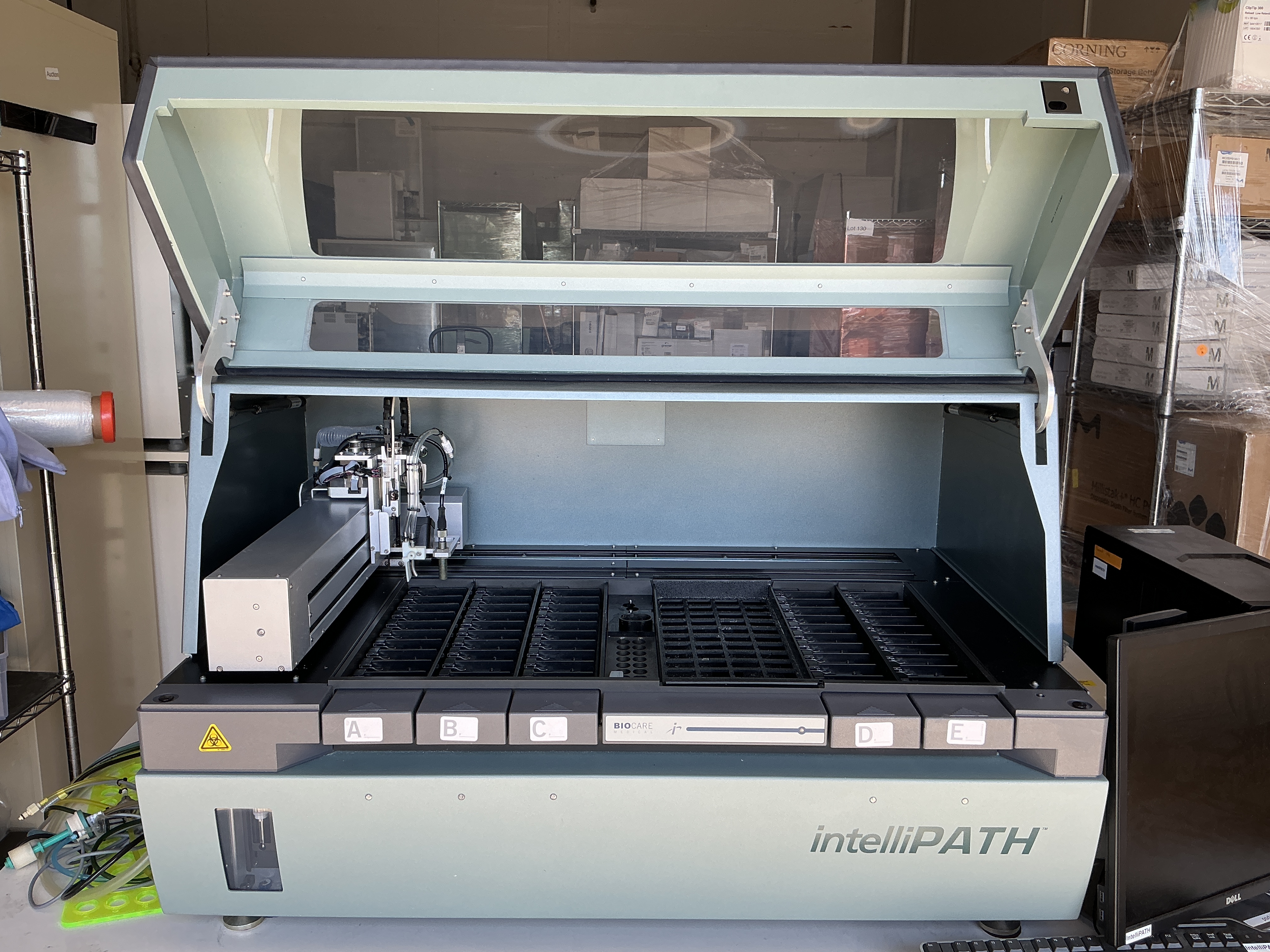 featured-assets-img-3110-1779400179196.jpeg